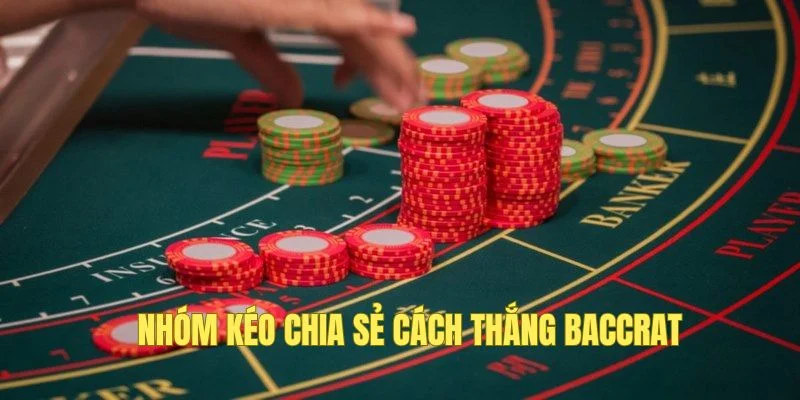 Tham gia hội hỗ trợ đặt cược thắng