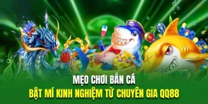 Mèo chơi bắn cá